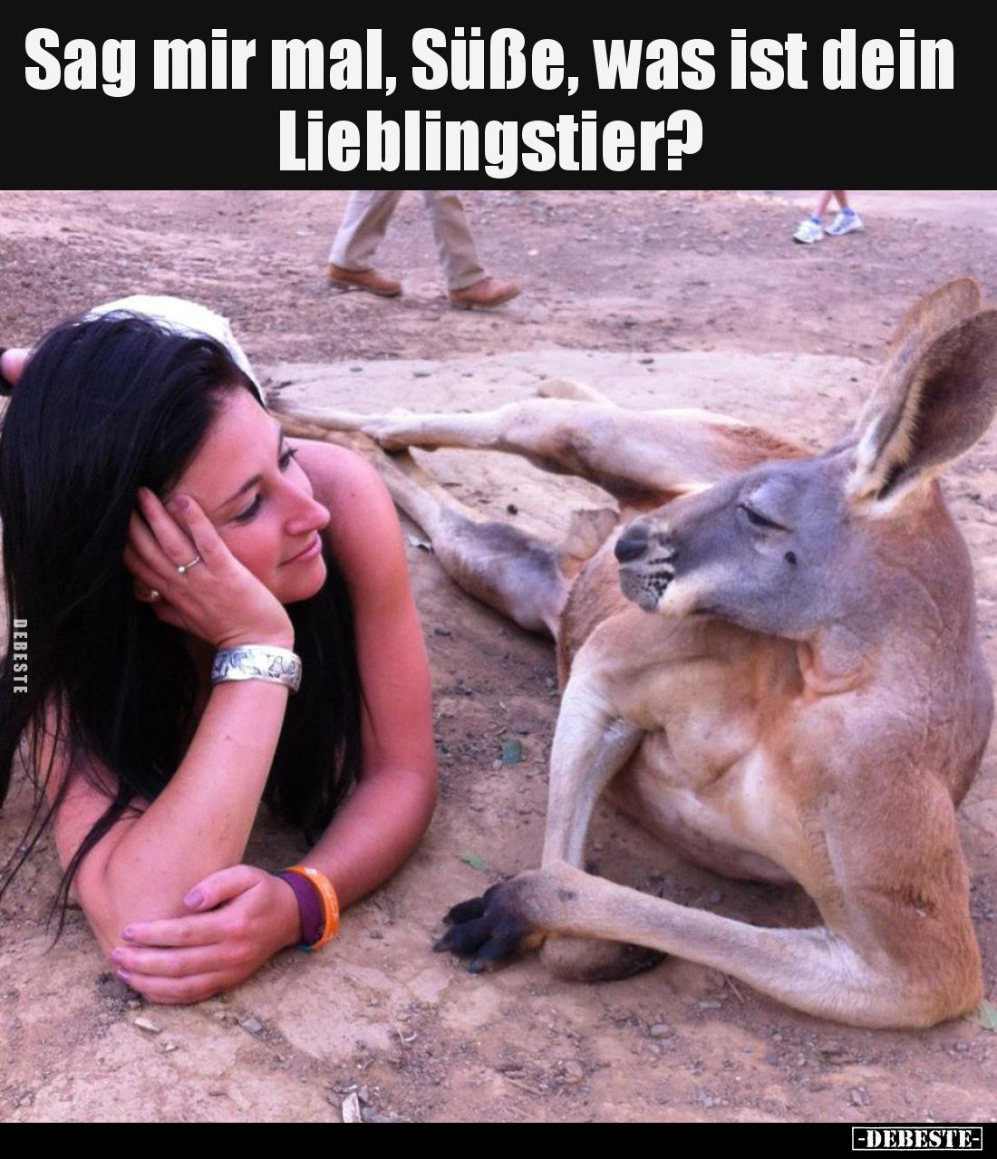 Sag mir mal, Süße, was ist dein Lieblingstier?