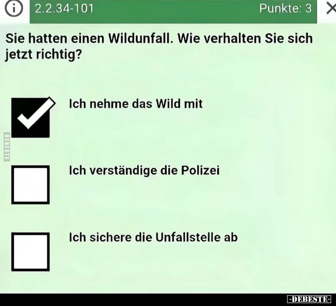 Sie hatten einen Wildunfall. Wie verhalten Sie sich jetzt richtig?
Ich nehme das Wild mit.
Ich verständige die Polizei.
Ic...