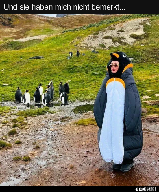 Und sie haben mich nicht bemerkt...