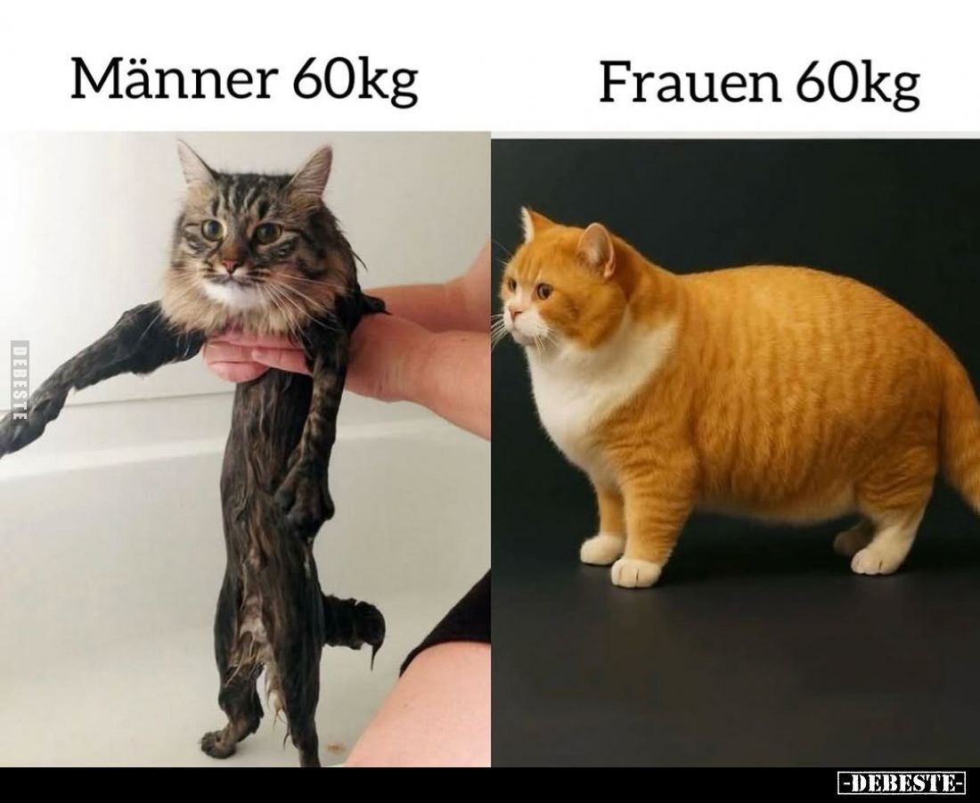 Männer 60kg vs
Frauen 60kg.