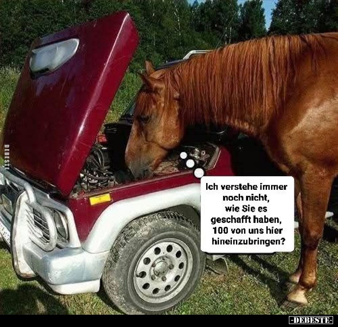 Ich verstehe immer noch nicht, wie Sie es geschafft haben, 100 von uns hier hineinzubringen?