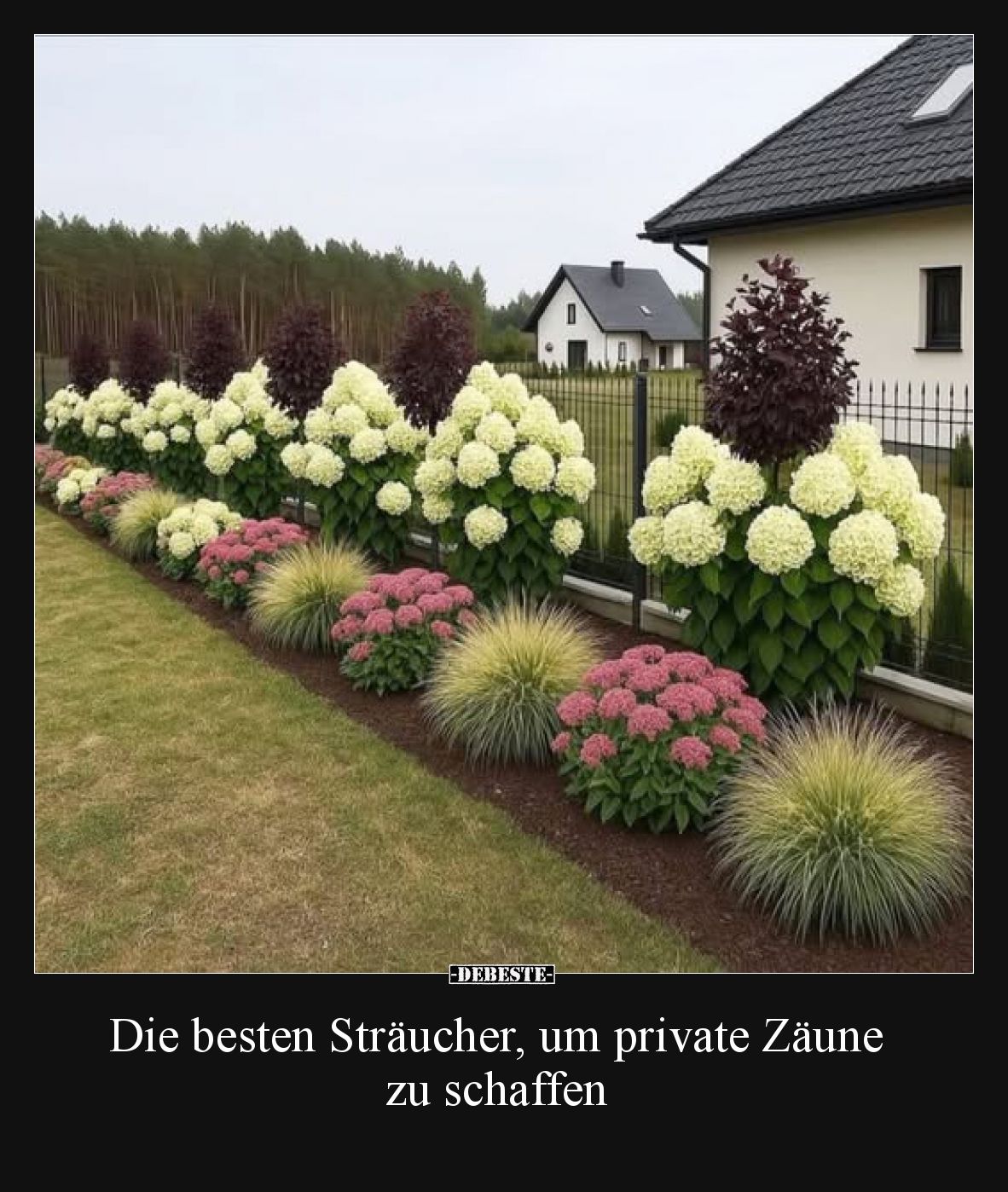 Die besten Sträucher, um private Zäune zu schaffen