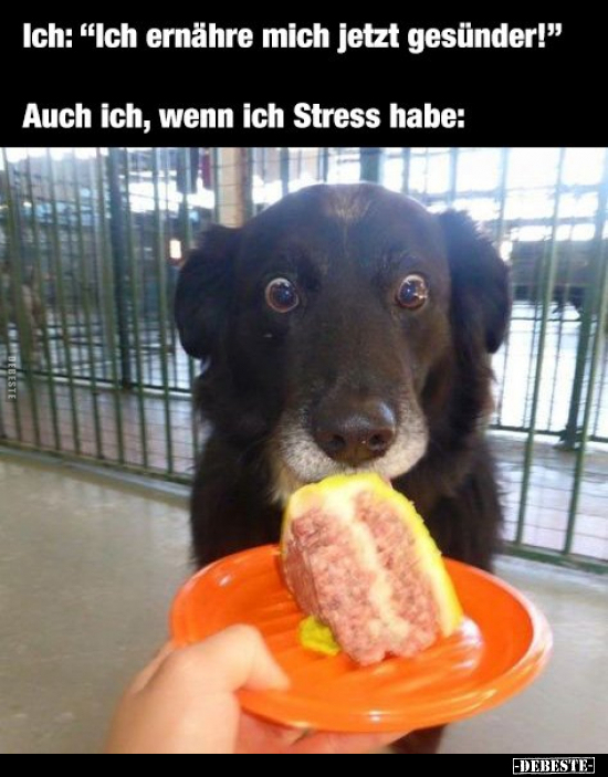 Ich: "Ich ernähre mich jetzt gesünder!" Auch ich, wenn ich Stress habe: