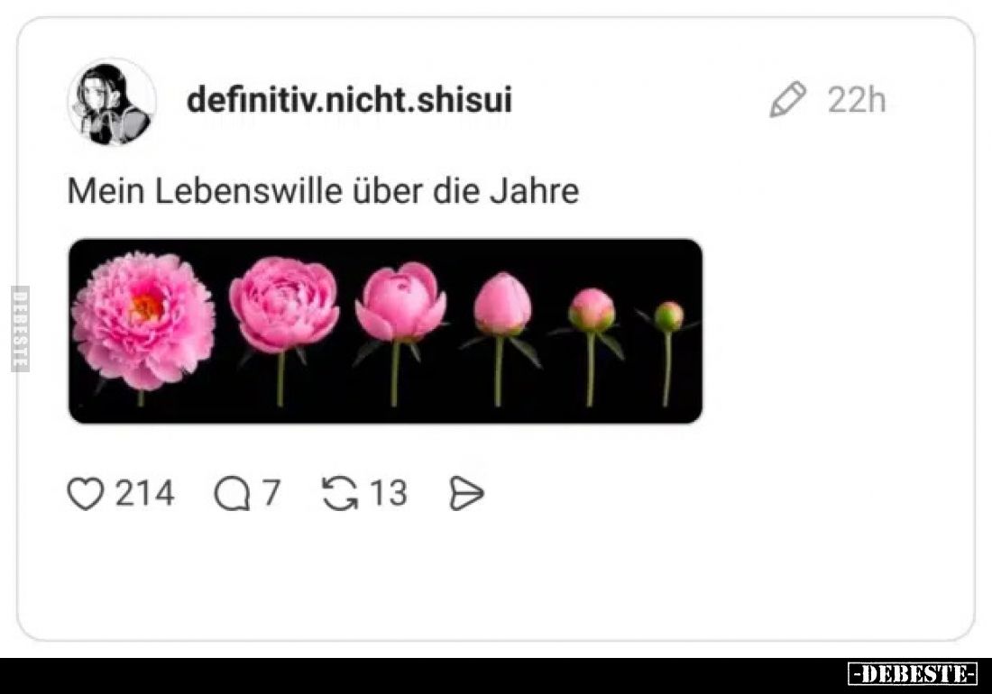 Mein Lebenswille über die Jahre