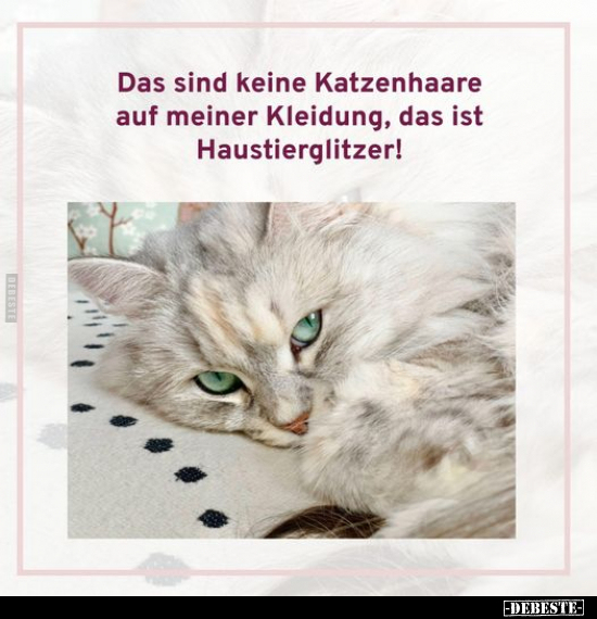 Das sind keine Katzenhaare.. - Lustige Bilder | DEBESTE.de