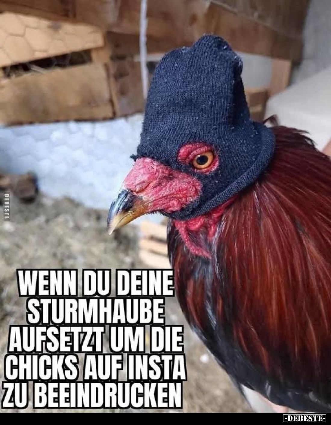 Wenn du deine Sturmhaube aufsetzt um die Chicks auf Insta zu beeindrucken