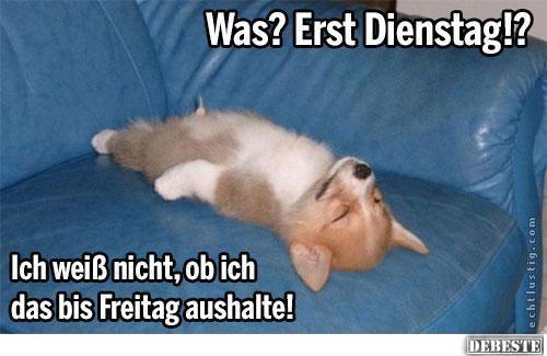 Was? Erst Dienstag!? - Lustige Bilder | DEBESTE.de
