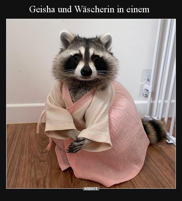 Geisha und Wäscherin in einem