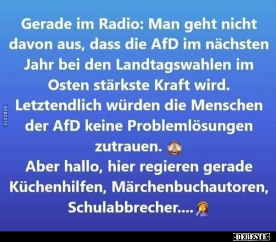 Gerade im Radio: Man geht nicht davon aus, dass die AfD im.. - Lustige Bilder | DEBESTE.de
