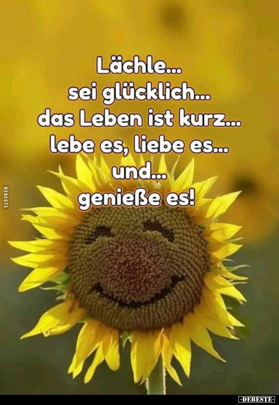 Lächle, sei glücklich, das Leben ist kurz, lebe es, liebe es... Und genieße es!