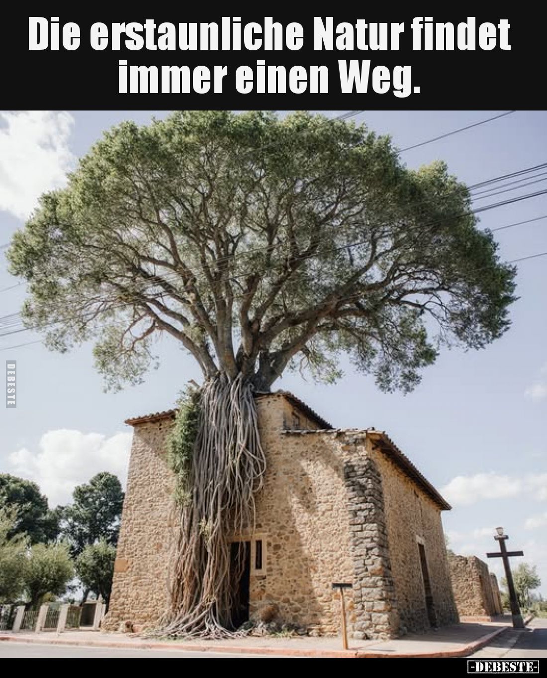 Die erstaunliche Natur findet immer einen Weg.