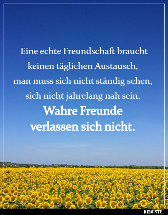 Eine echte Freundschaft braucht keinen täglichen.. - Lustige Bilder | DEBESTE.de