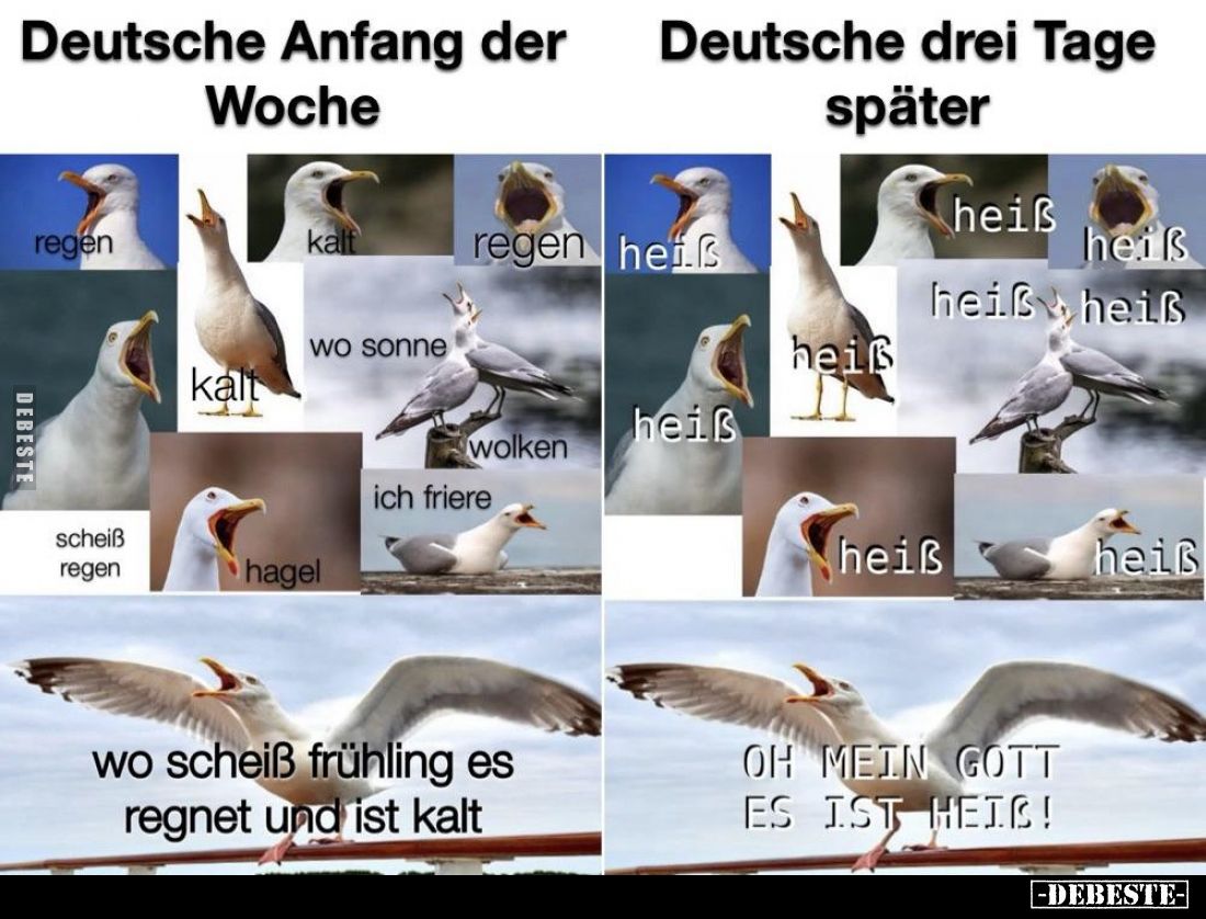  - Lustige Bilder | DEBESTE.de