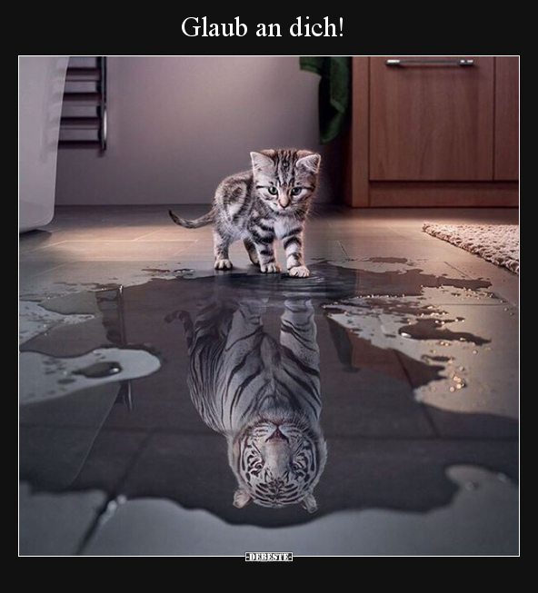 Glaub an dich!.. - Lustige Bilder | DEBESTE.de