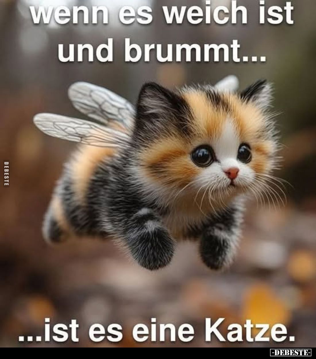 Wenn es weich ist und brummt...
...ist es eine Katze.