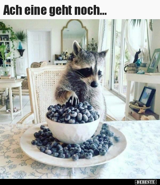 Ach eine geht noch...