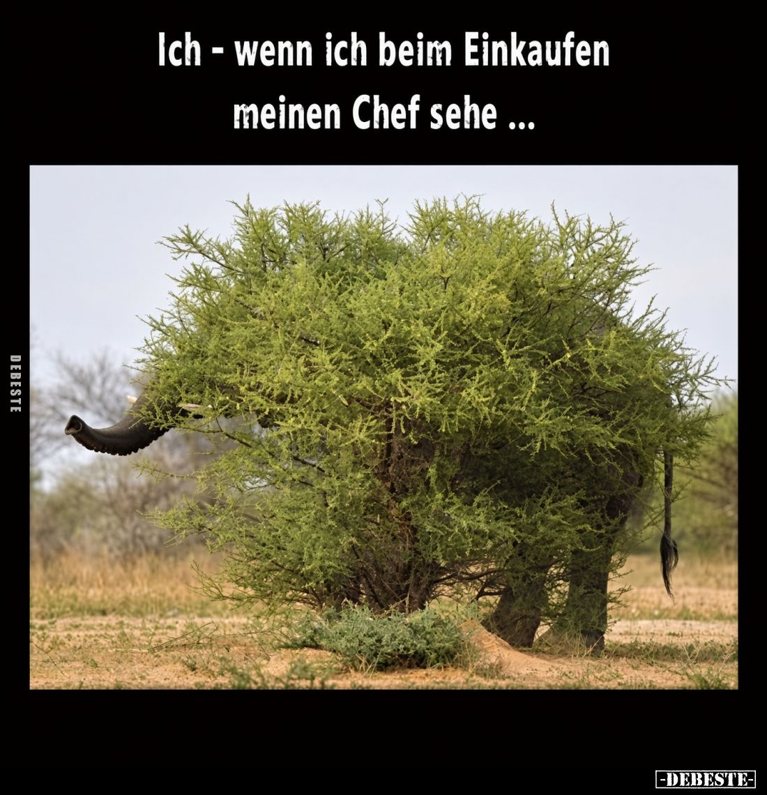 Ich - wenn ich beim Einkaufen meinen Chef sehe ...