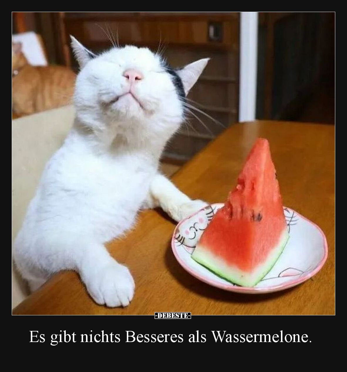 Es gibt nichts Besseres als Wassermelone.