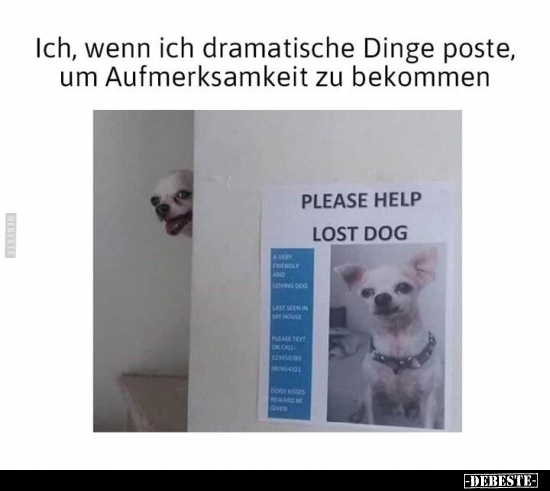 Ich, wenn ich dramatische Dinge poste, um Aufmerksamkeit zu bekommen
