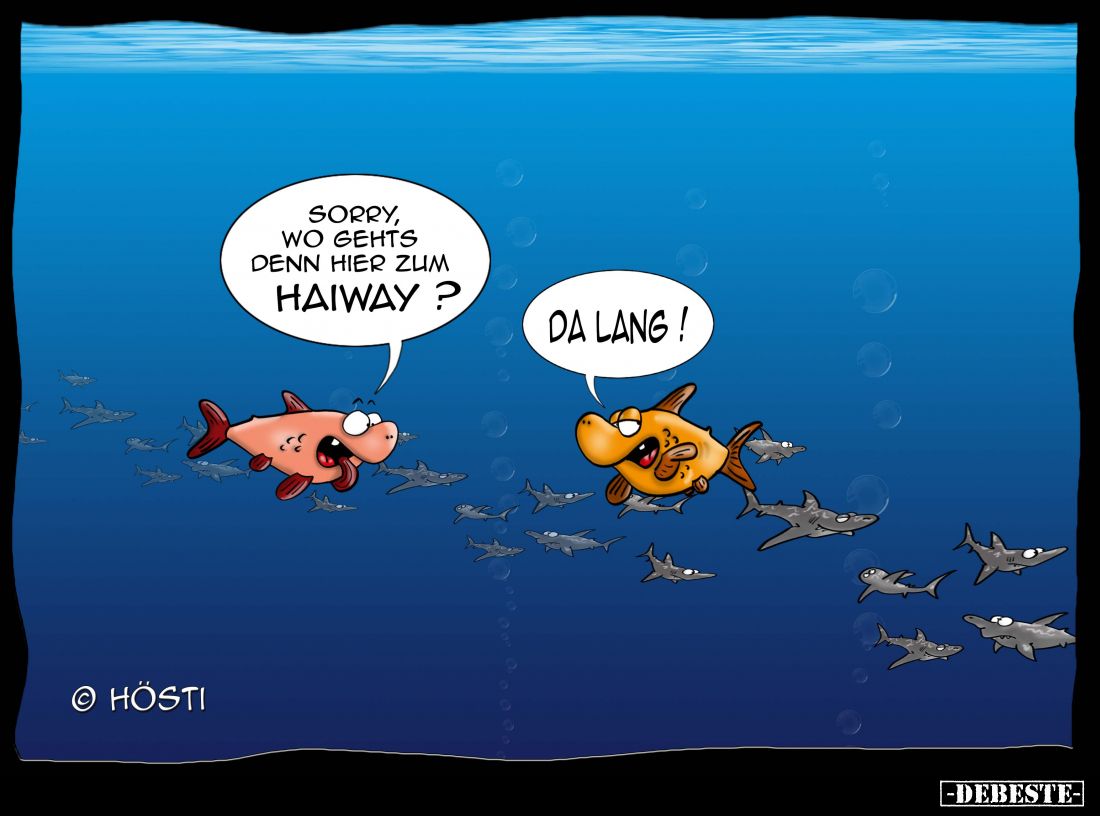 Sorry, wo geht's denn hier zum Haiway?.. - Lustige Bilder | DEBESTE.de
