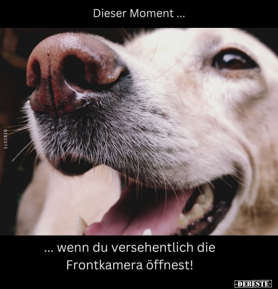 Dieser Moment...  - Lustige Bilder | DEBESTE.de
