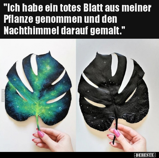 "Ich habe ein totes Blatt aus meiner Pflanze genommen und.." - Lustige Bilder | DEBESTE.de