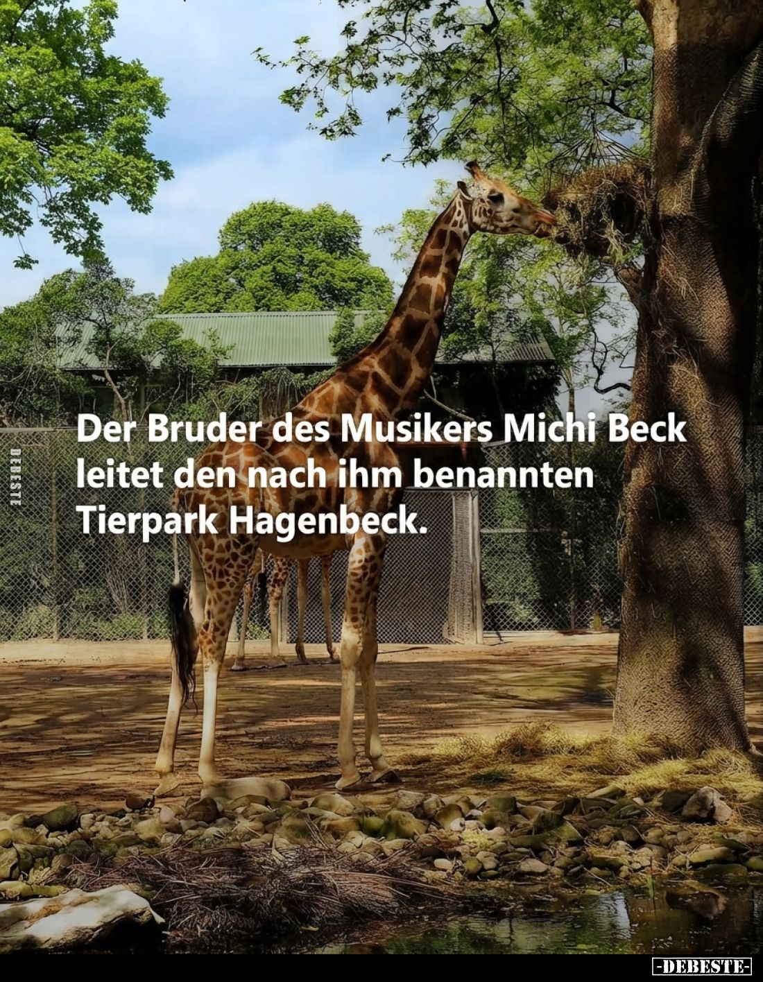 Der Bruder des Musikers Michi Beck leitet den nach ihm benannten Tierpark Hagenbeck.