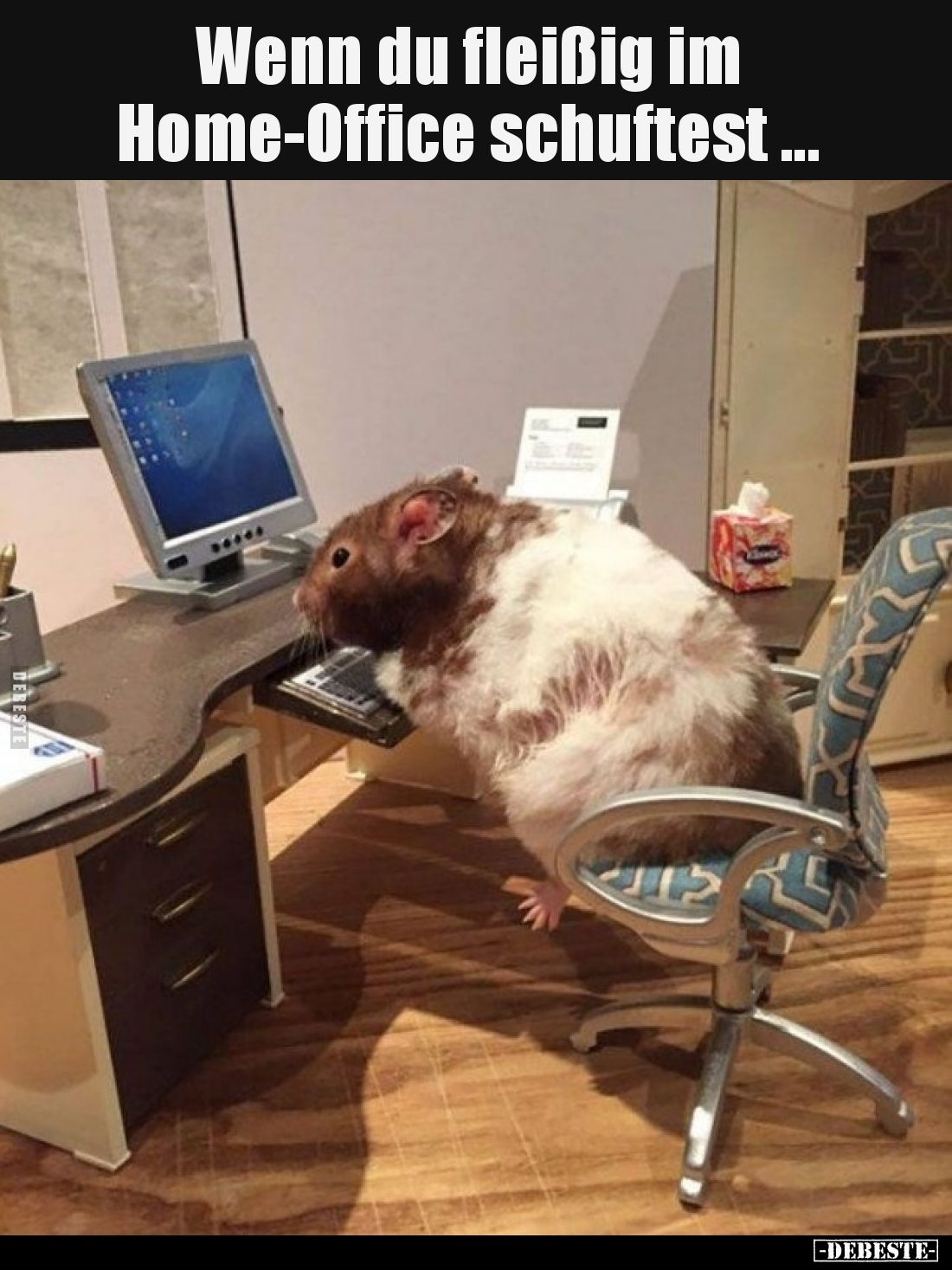 Wenn du fleißig im Home-Office schuftest ...