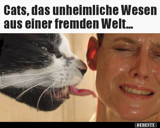 Cats, das unheimliche Wesen aus einer fremden Welt... - Lustige Bilder | DEBESTE.de