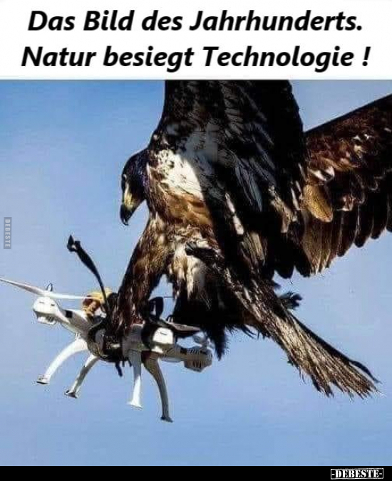 Das Bild des Jahrhunderts. Natur besiegt Technologie !.. - Lustige Bilder | DEBESTE.de