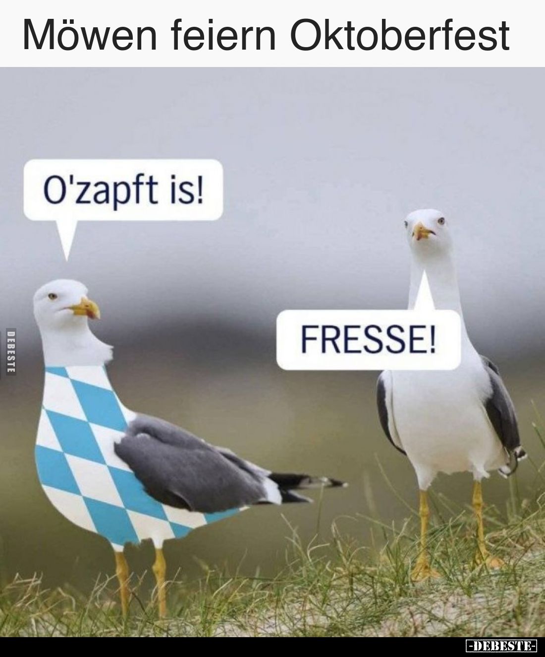 Möwen feiern Oktoberfest
-
O'zapft is!
-
FRESSE!