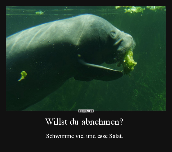 Willst du abnehmen? Schwimme viel und esse Salat...