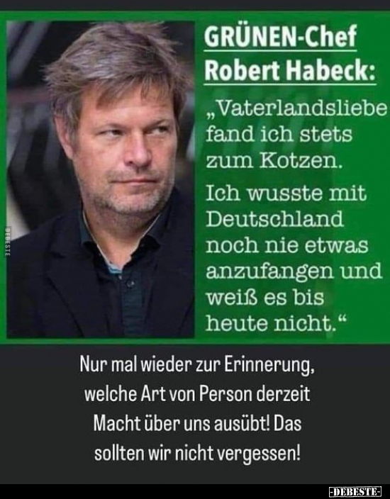 Grünen-Chef Robert Habeck: "Vaterlandsliebe fand ich stets.." - Lustige Bilder | DEBESTE.de