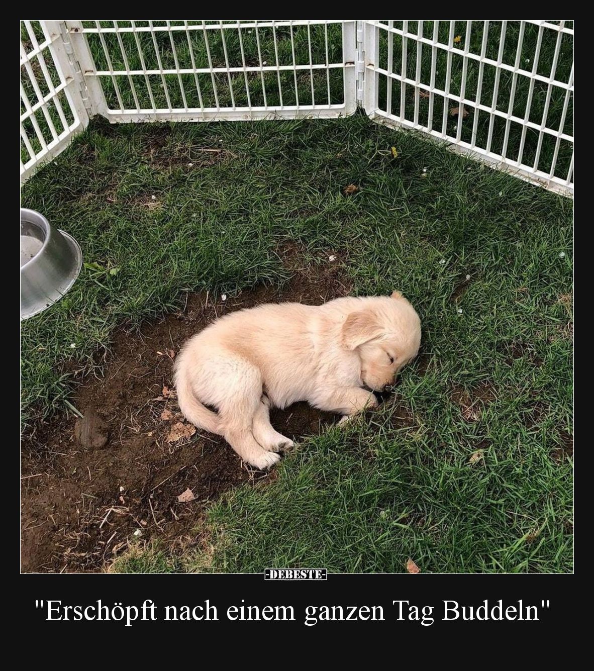Erschöpft nach einem ganzen Tag Buddeln.