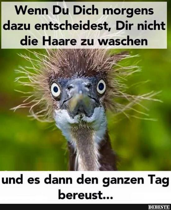 Wenn Du Dich morgens dazu entscheidest..
