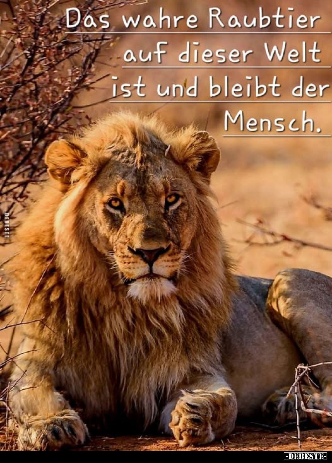 Das wahre Raubtier auf dieser Welt ist und bleibt der Mensch.