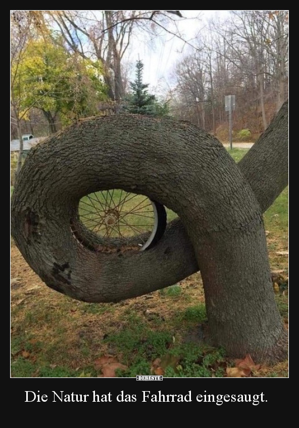 Die Natur hat das Fahrrad eingesaugt... - Lustige Bilder | DEBESTE.de