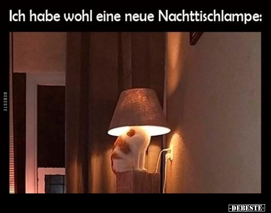 Ich habe wohl eine neue Nachttischlampe.. - Lustige Bilder | DEBESTE.de