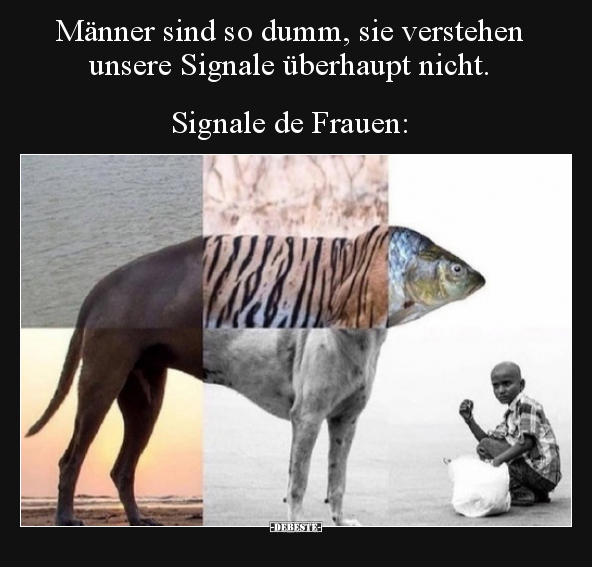 Männer sind so dumm, sie verstehen unsere Signale überhaupt..