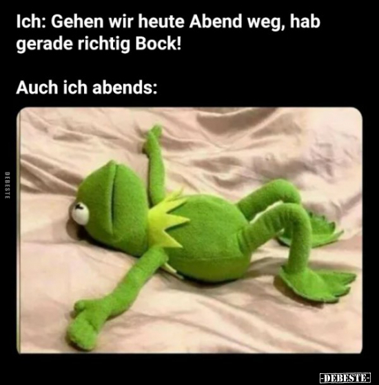 Ich: Gehen wir heute Abend weg, hab gerade richtig Bock!.. - Lustige Bilder | DEBESTE.de