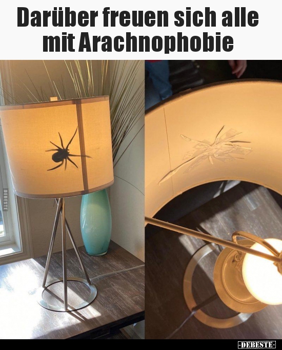 Darüber freuen sich alle mit Arachnophobie. - Lustige Bilder | DEBESTE.de