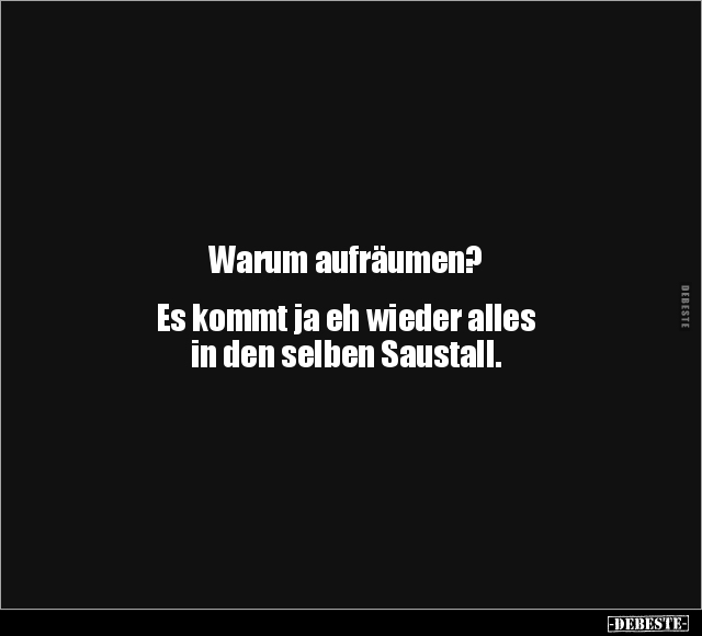 Warum aufräumen?.. - Lustige Bilder | DEBESTE.de