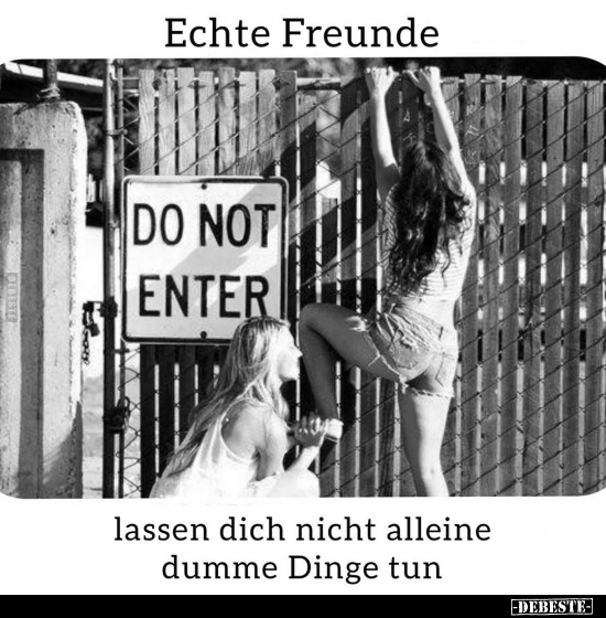 Echte Freunde lassen dich nicht alleine dumme Dinge tun.. - Lustige Bilder | DEBESTE.de