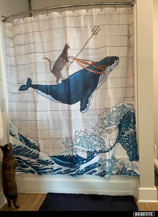  - Lustige Bilder | DEBESTE.de