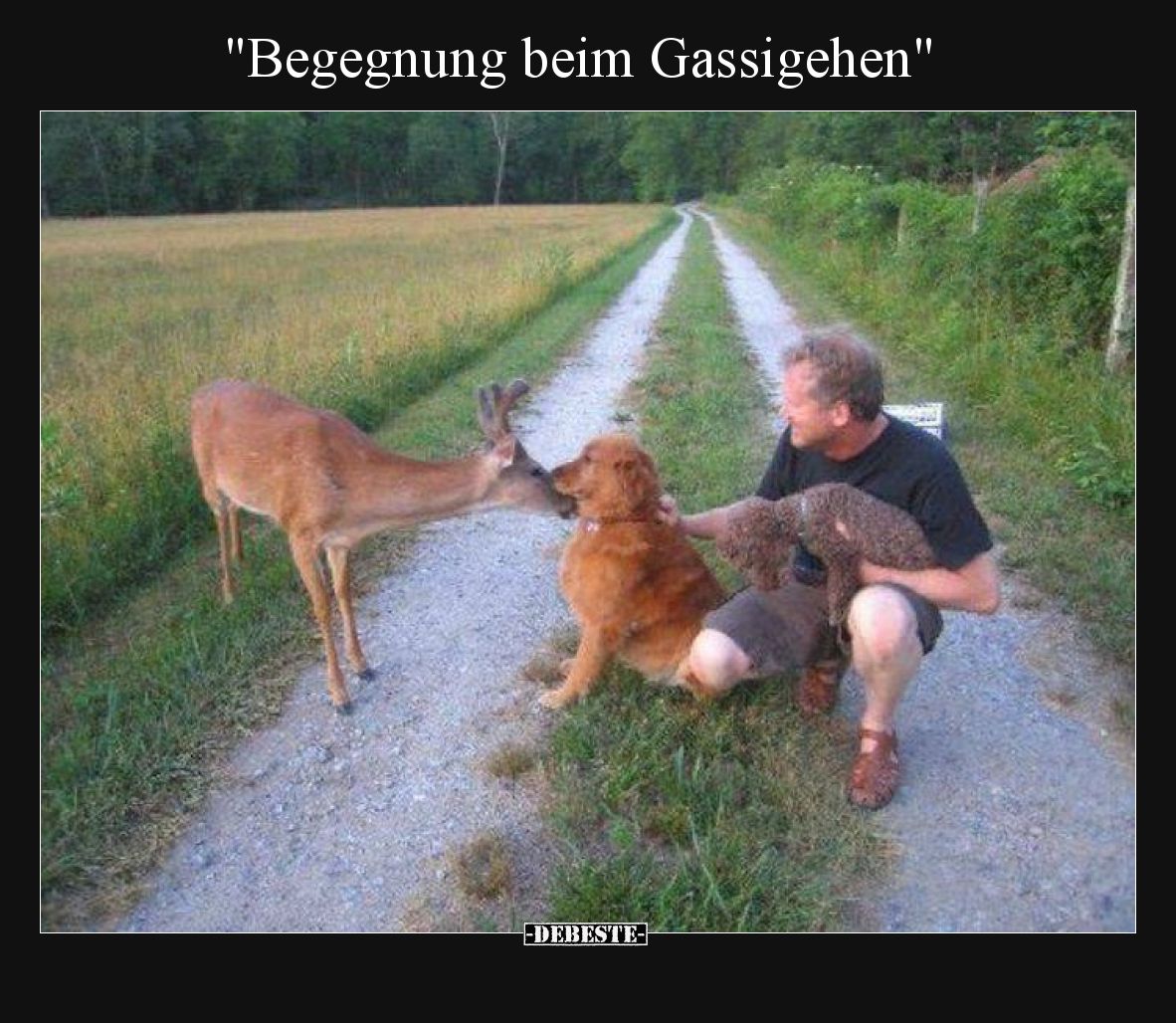 "Begegnung beim Gassigehen"