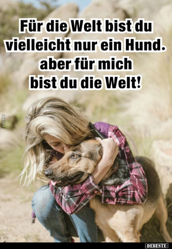 Für die Welt bist du vielleicht nur ein Hund.. - Lustige Bilder | DEBESTE.de