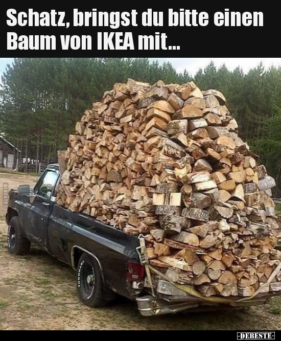 Schatz, bringst du bitte einen Baum von IKEA mit&hellip; | Lustige Bilder