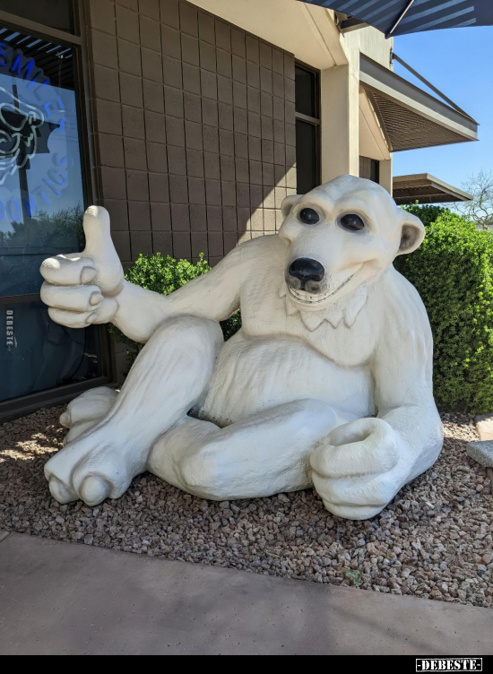  - Lustige Bilder | DEBESTE.de