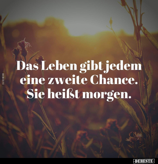 Das Leben gibt jedem eine zweite Chance.. - Lustige Bilder | DEBESTE.de