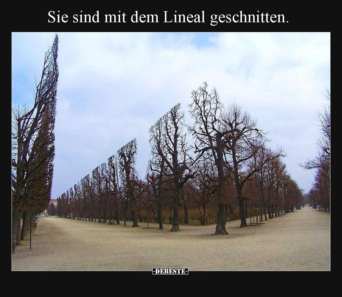 Sie sind mit dem Lineal geschnitten.
